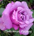 EMINENCE (Эминенс)