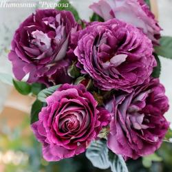 HUDDERSFIELD CHORAL SOCIETY (Хаддесфилд Корэл Сэсаити)