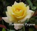 ЯЛТИНСКОЕ СОЛНЫШКО (JALTINSKOE SOLNYSHKO)
