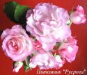 ROSLYNE (Розлин)