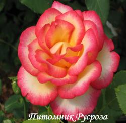 LEO FERRE (ADABITERSE) (Лео Феррэ)