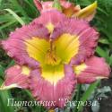 Лилейник "Chinese Incantation" (Hemerocallis)